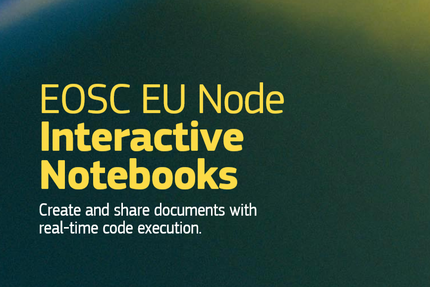 Interactive Notebooks